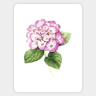 Watercolor botanical vintage Floral minimalist print Sticker